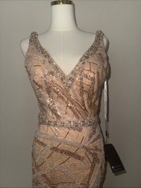 Terani Couture Sequin Embellished V-Neck Gown in Champagne Blush